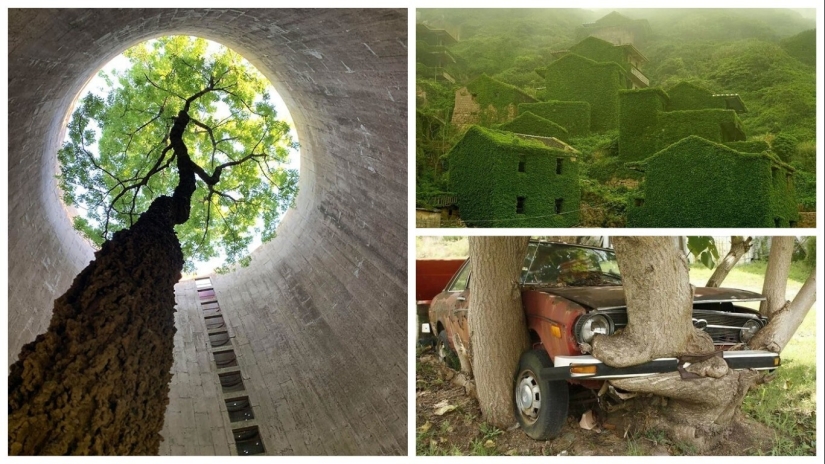 30 examples of how nature winning the battle against civilization 30 examples of how nature winning the battle against civilization