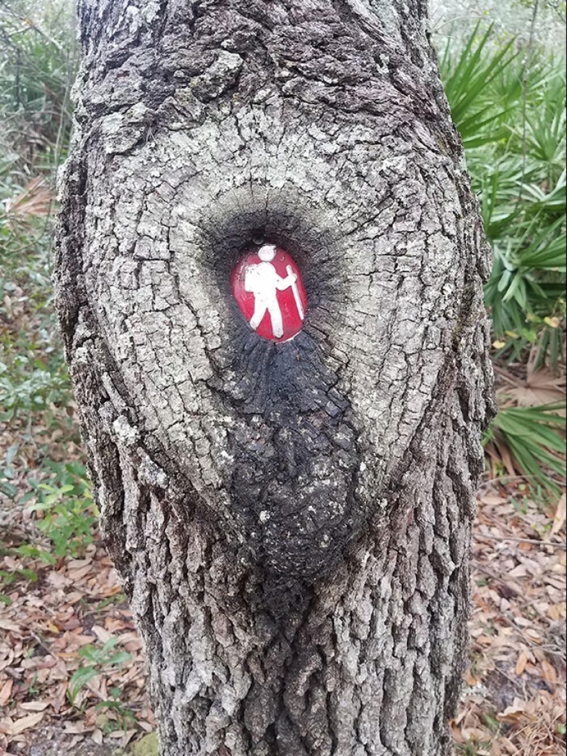 30 examples of how nature winning the battle against civilization 30 examples of how nature winning the battle against civilization