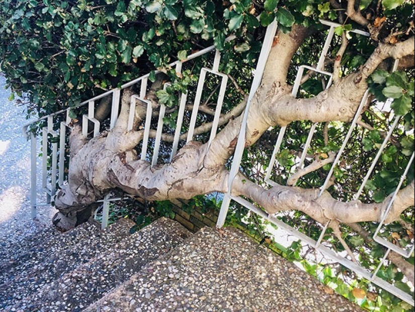 30 examples of how nature winning the battle against civilization 30 examples of how nature winning the battle against civilization