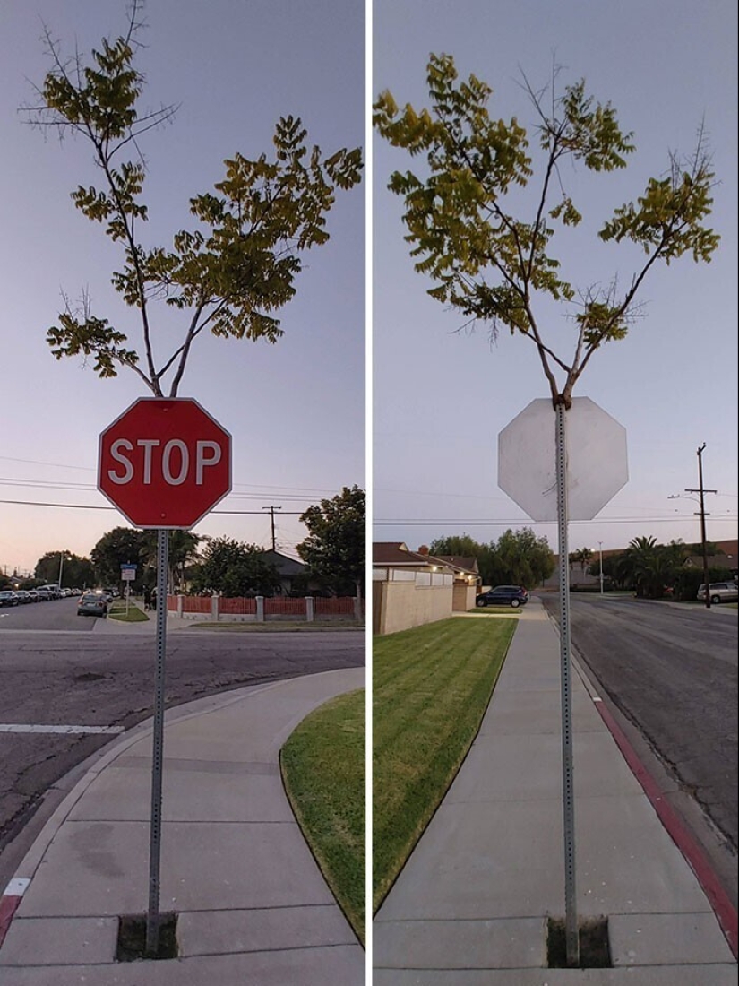 30 examples of how nature winning the battle against civilization 30 examples of how nature winning the battle against civilization