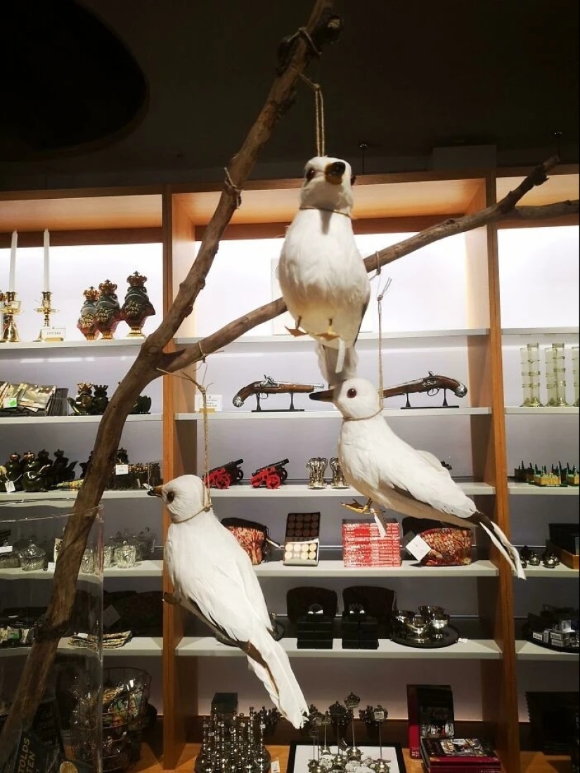 30 examples of lousy design that will definitely amuse you 30 examples of lousy design that will definitely amuse you