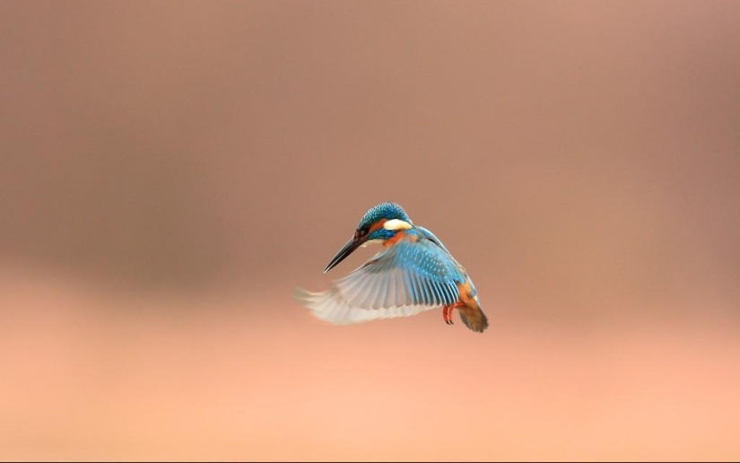 30 facts you probably didn't know about 30 facts you probably didn't know about