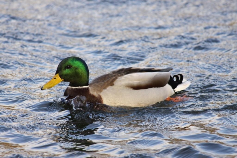 30 facts you probably didn't know about 30 facts you probably didn't know about