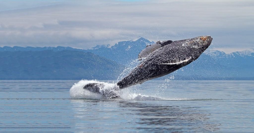 30 facts you probably didn't know about 30 facts you probably didn't know about