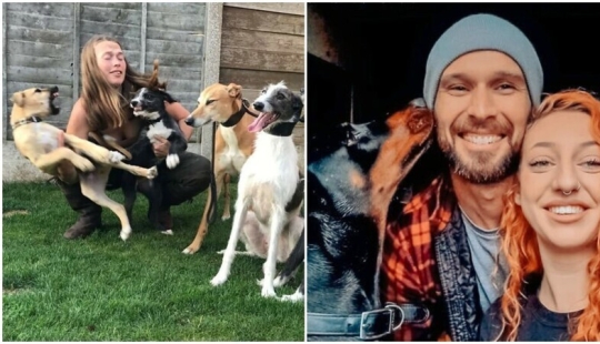 30 family photos who would not be so funny, if not for Sobakina 30 family photos who would not be so funny, if not for Sobakina