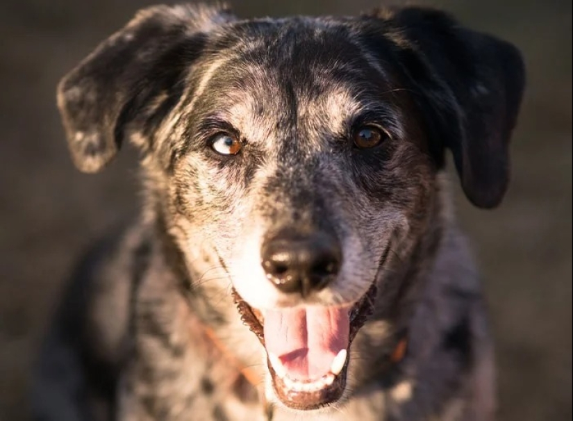 30 Fascinating Facts from the "Today I Learned" Series 30 Fascinating Facts from the "Today I Learned" Series