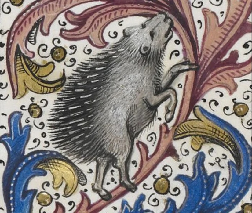 30 Fascinating Facts from the "Today I Learned" Series 30 Fascinating Facts from the "Today I Learned" Series