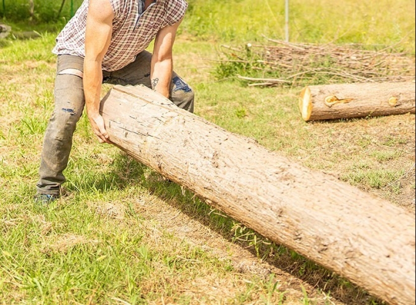 30 Fascinating Facts from the "Today I Learned" Series 30 Fascinating Facts from the "Today I Learned" Series