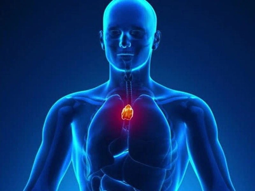 30 Fascinating Facts from the "Today I Learned" Series 30 Fascinating Facts from the "Today I Learned" Series