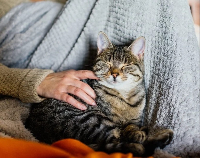 30 Fascinating Facts from the "Today I Learned" Series 30 Fascinating Facts from the "Today I Learned" Series