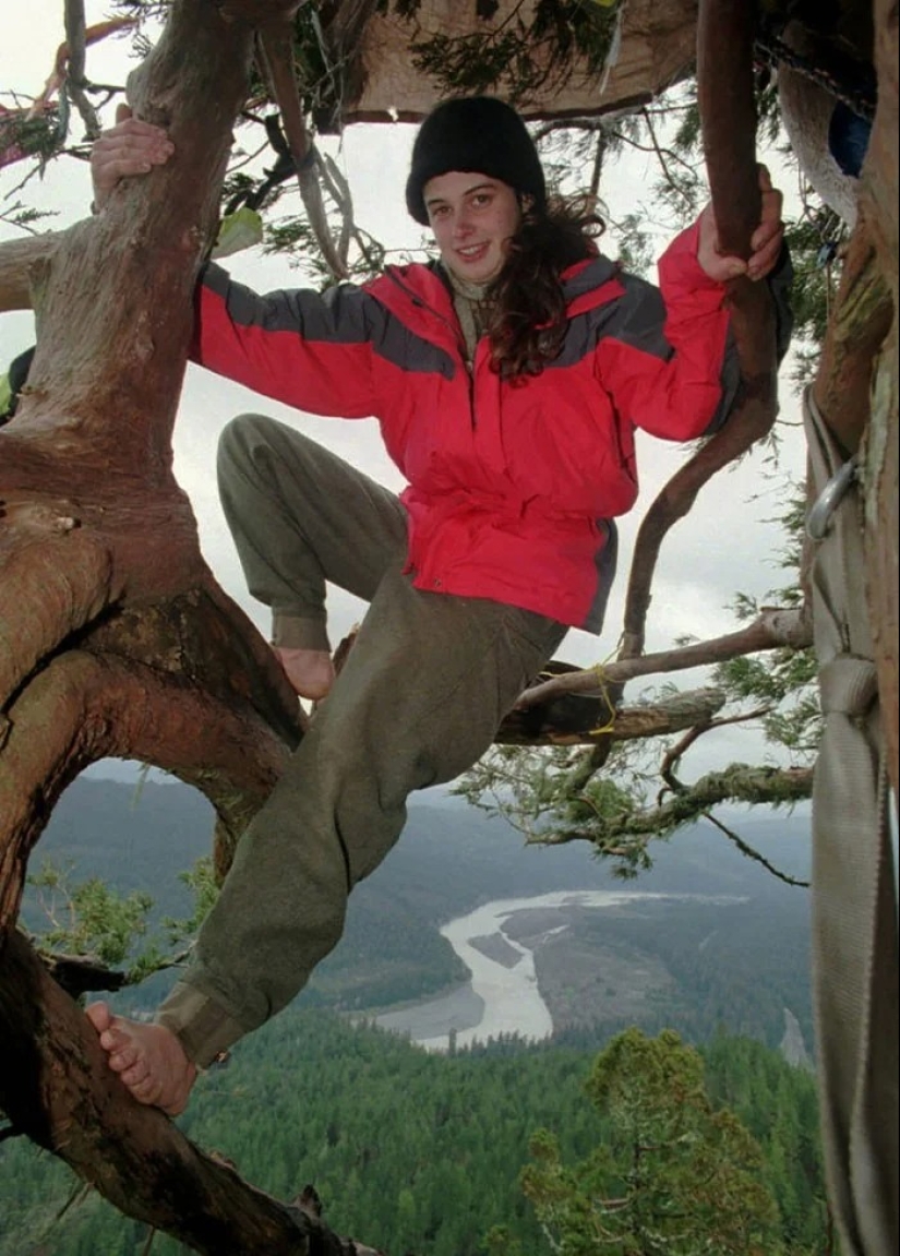 30 Fascinating Facts from the "Today I Learned" Series 30 Fascinating Facts from the "Today I Learned" Series