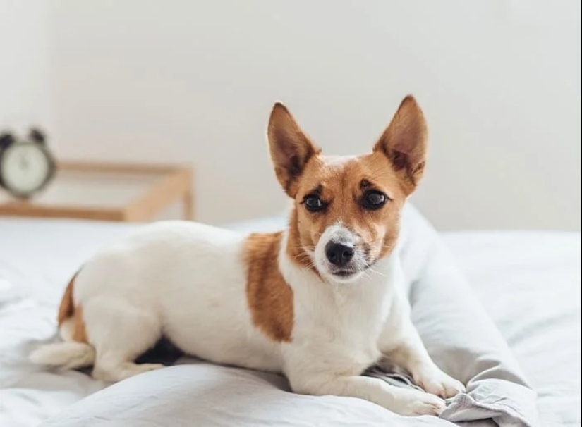 30 Fascinating Facts from the "Today I Learned" Series 30 Fascinating Facts from the "Today I Learned" Series