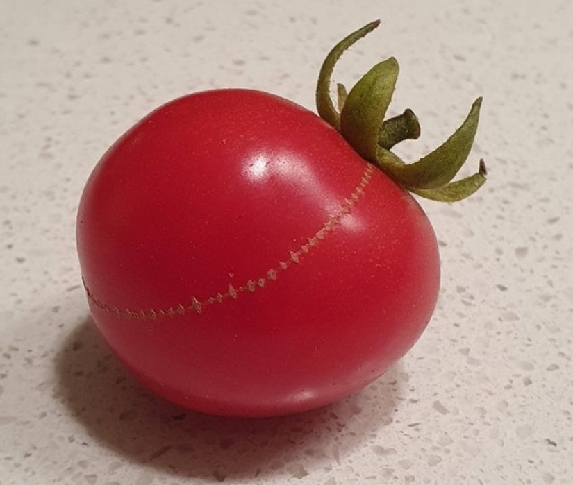 30 fotografías inusuales que demuestran que el mundo está lleno de misterios y cosas asombrosas 30 fotografías inusuales que demuestran que el mundo está lleno de misterios y cosas asombrosas