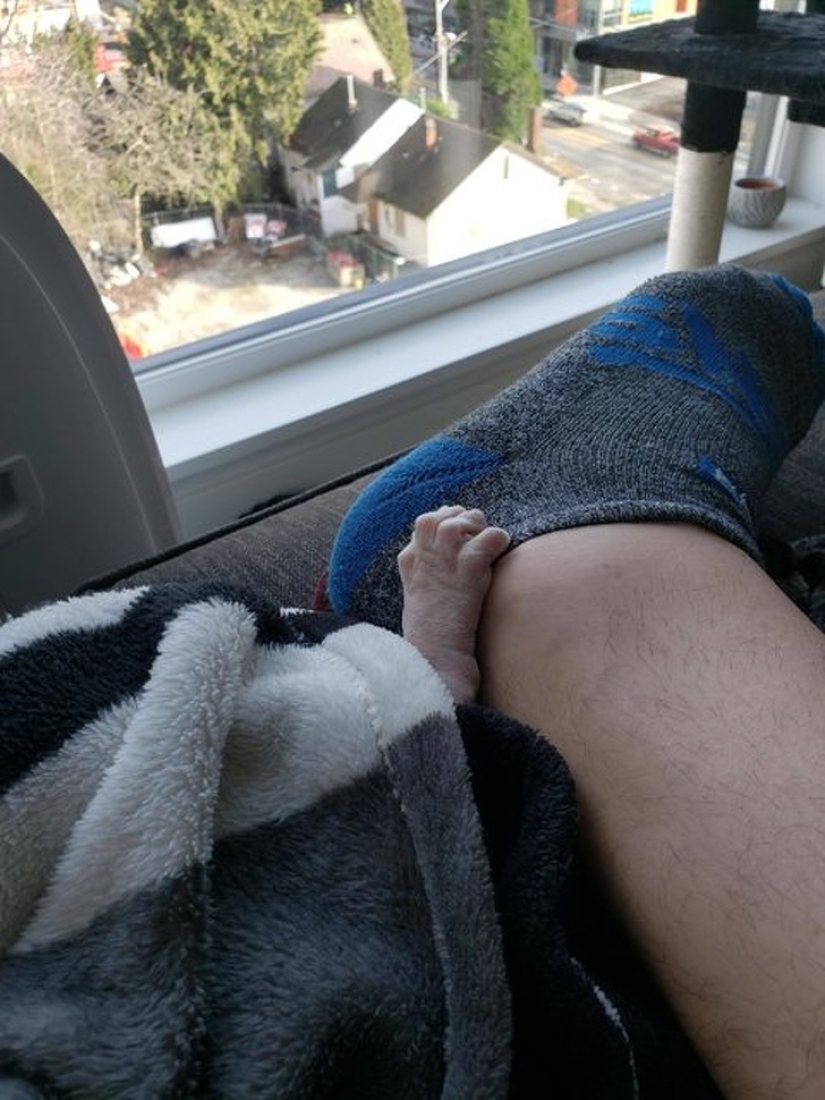 30 fotografías inusuales que demuestran que el mundo está lleno de misterios y cosas asombrosas 30 fotografías inusuales que demuestran que el mundo está lleno de misterios y cosas asombrosas