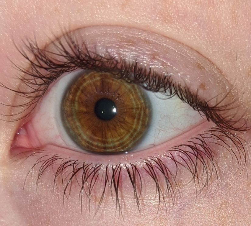 30 fotografías inusuales que demuestran que el mundo está lleno de misterios y cosas asombrosas 30 fotografías inusuales que demuestran que el mundo está lleno de misterios y cosas asombrosas