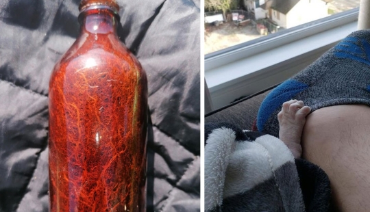 30 fotografías inusuales que demuestran que el mundo está lleno de misterios y cosas asombrosas 30 fotografías inusuales que demuestran que el mundo está lleno de misterios y cosas asombrosas