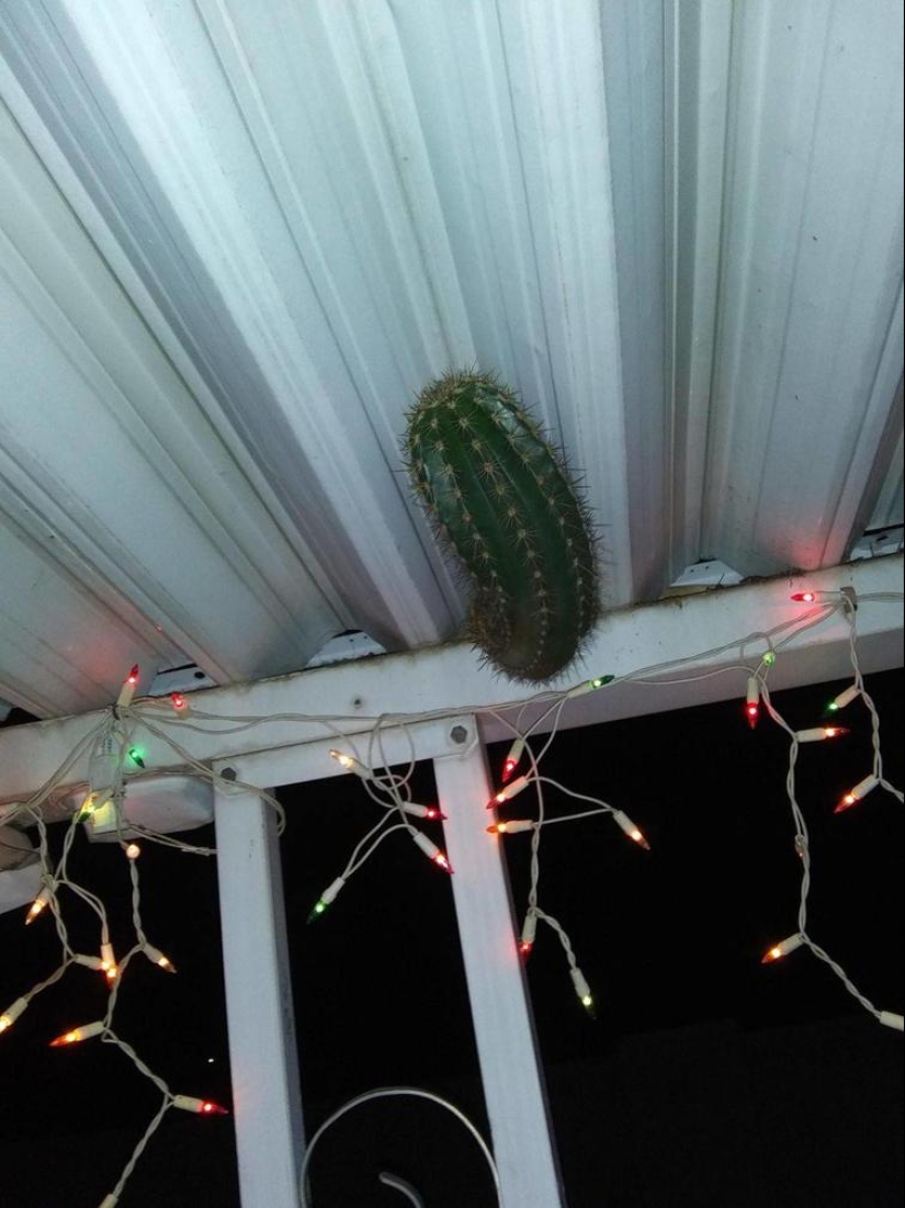 30 fotos con historias interesantes, gracias a la cual podrás aprender un poco más 30 fotos con historias interesantes, gracias a la cual podrás aprender un poco más