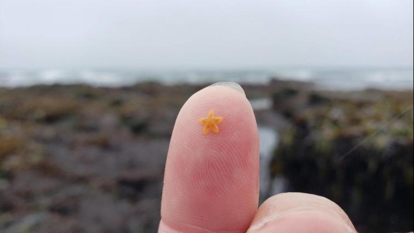 30 fotos con historias interesantes, gracias a la cual podrás aprender un poco más 30 fotos con historias interesantes, gracias a la cual podrás aprender un poco más