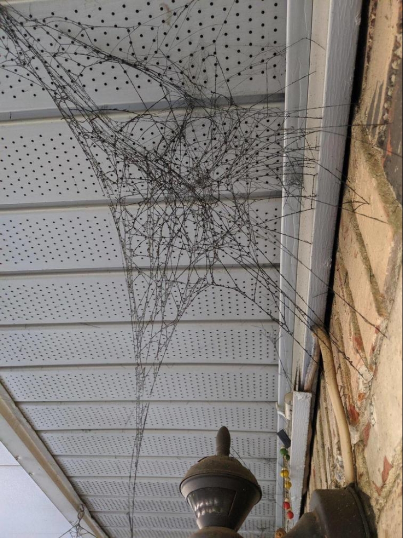 30 fotos con historias interesantes, gracias a la cual podrás aprender un poco más 30 fotos con historias interesantes, gracias a la cual podrás aprender un poco más