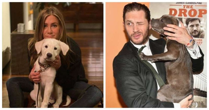 30 fotos de celebridades con perros 30 fotos de celebridades con perros