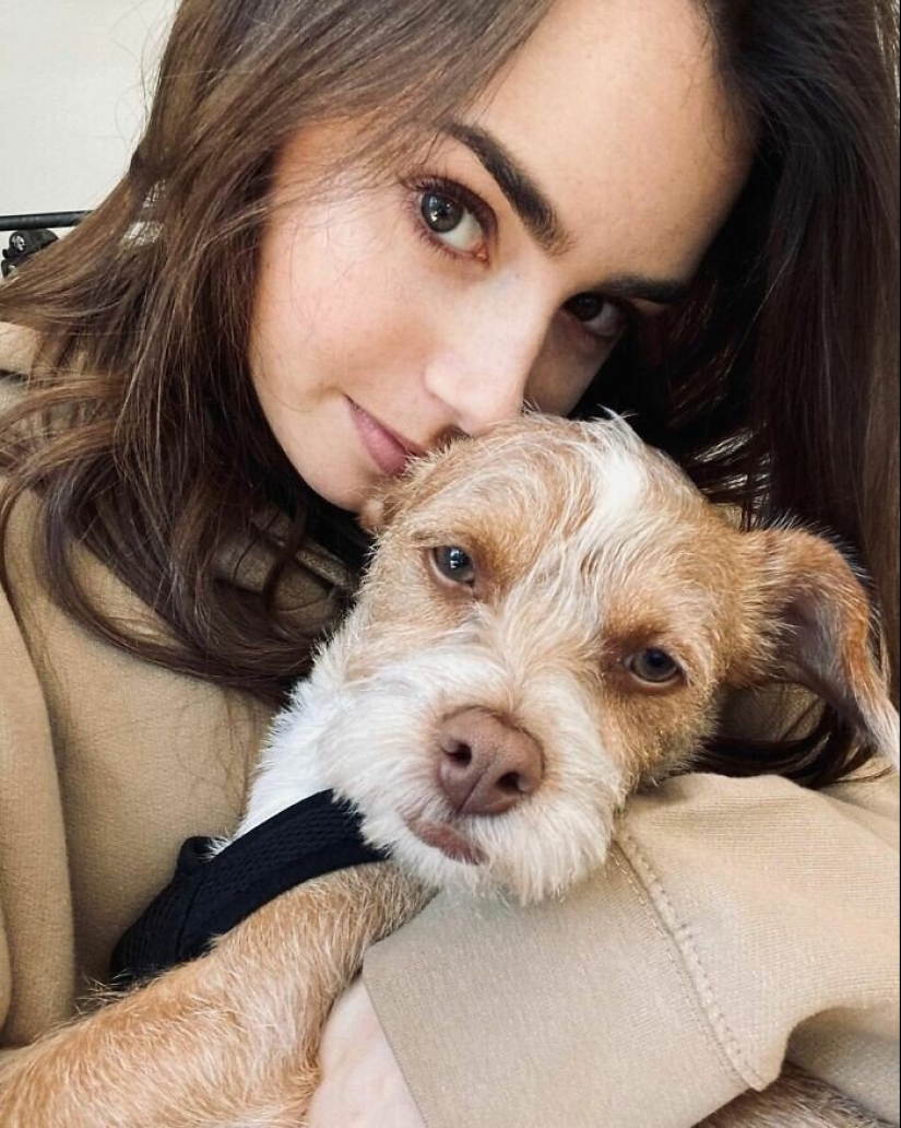 30 fotos de celebridades con perros 30 fotos de celebridades con perros