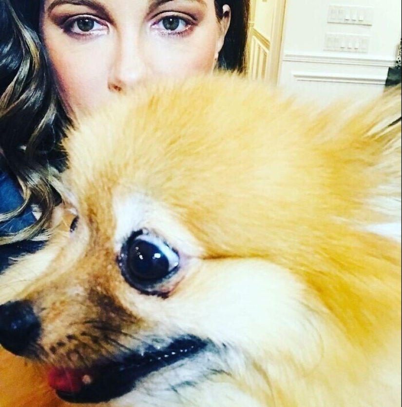 30 fotos de celebridades con perros 30 fotos de celebridades con perros