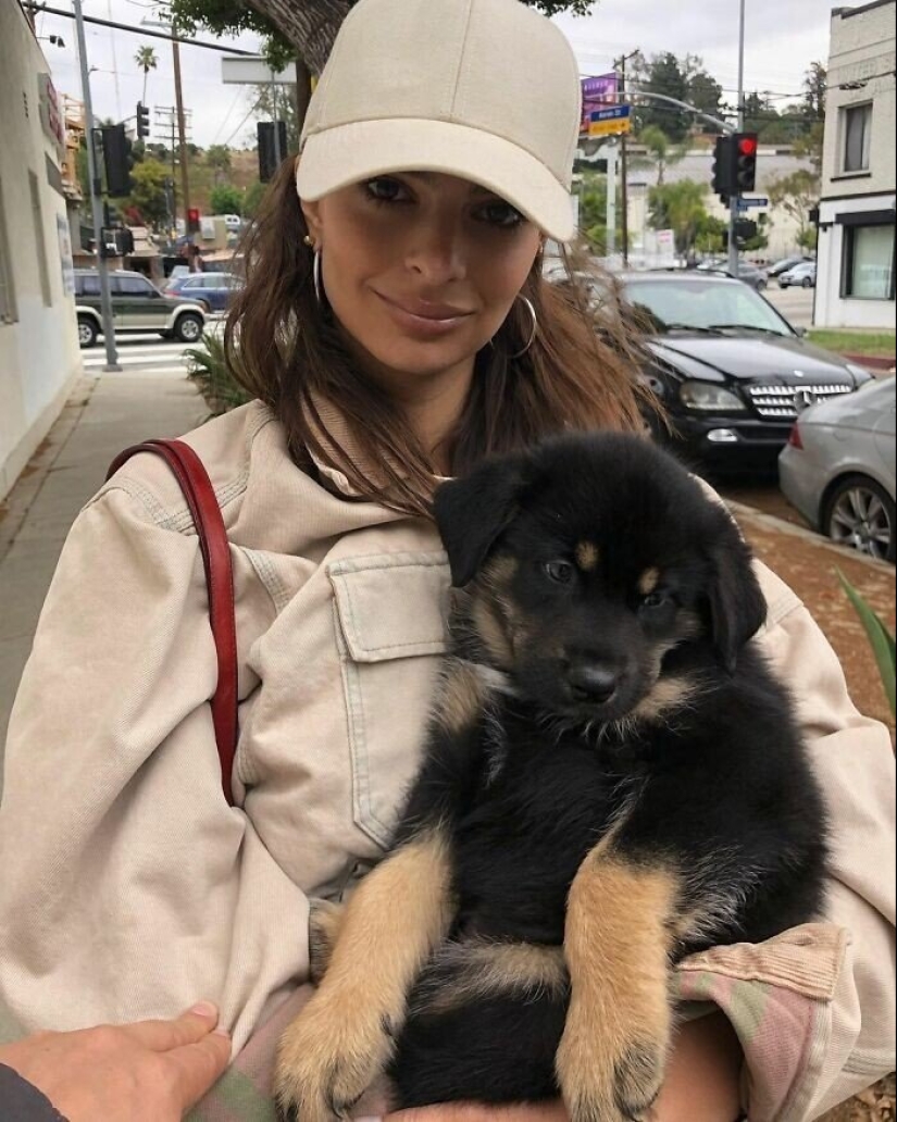 30 fotos de celebridades con perros 30 fotos de celebridades con perros