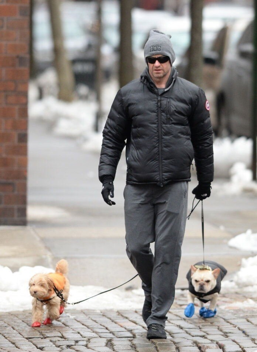 30 fotos de celebridades con perros 30 fotos de celebridades con perros