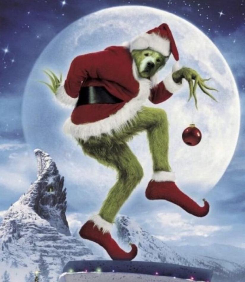 30 fotos dignas de épicas batallas de photoshop