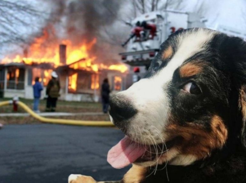 30 fotos dignas de épicas batallas de photoshop