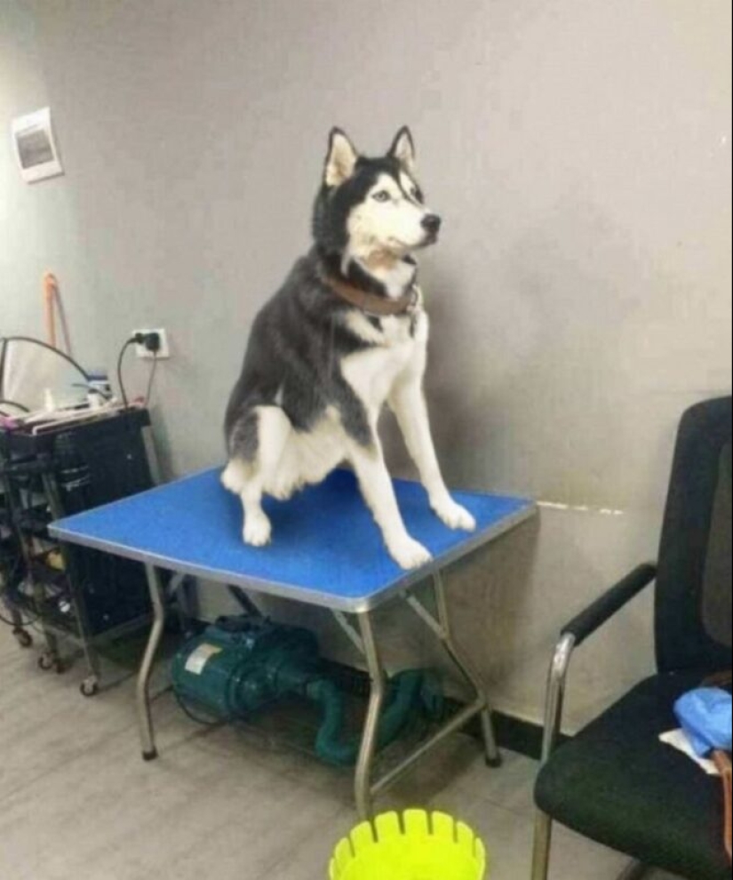 30 fotos dignas de épicas batallas de photoshop