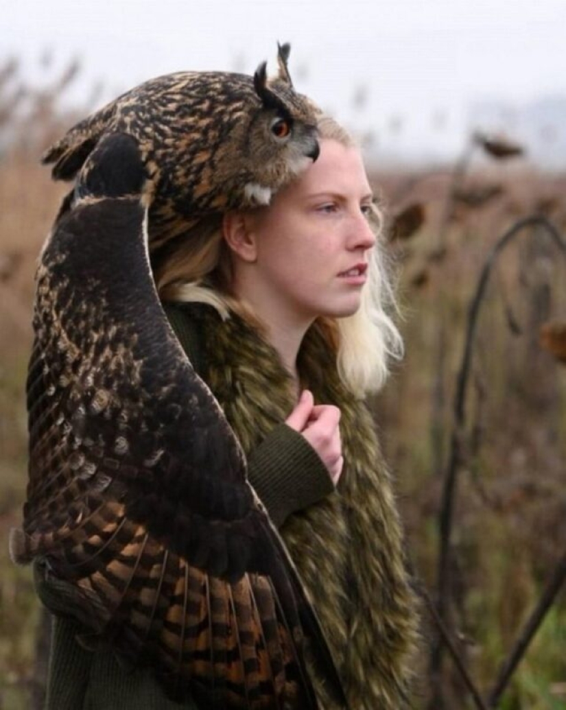 30 fotos dignas de épicas batallas de photoshop