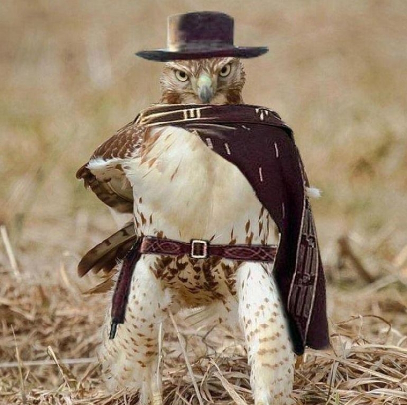 30 fotos dignas de épicas batallas de photoshop