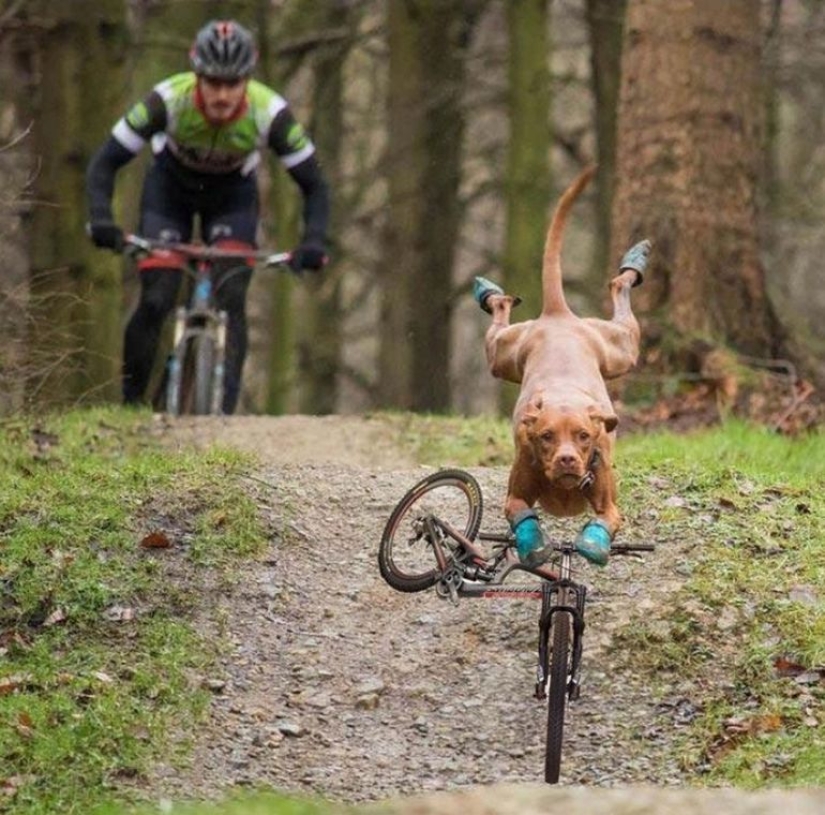 30 fotos dignas de épicas batallas de photoshop