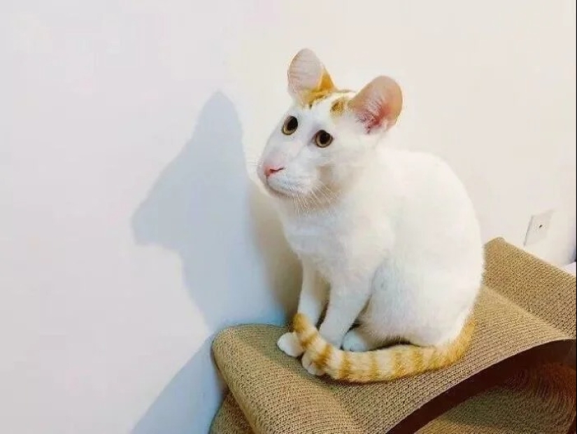 30 fotos espeluznantes que te ponen la piel de gallina