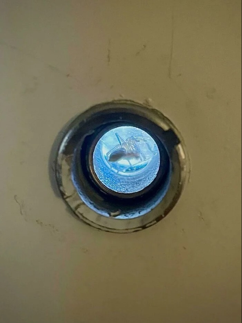 30 fotos espeluznantes que te ponen la piel de gallina