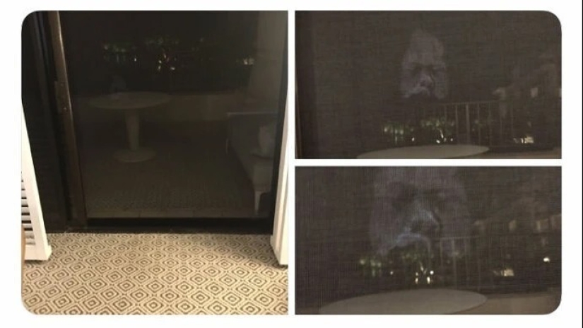 30 fotos espeluznantes que te ponen la piel de gallina