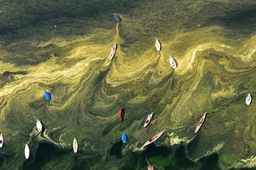 30 fotos increíblemente hermosas que demuestran que la vida es hermosa y sorprendente 30 fotos increíblemente hermosas que demuestran que la vida es hermosa y sorprendente