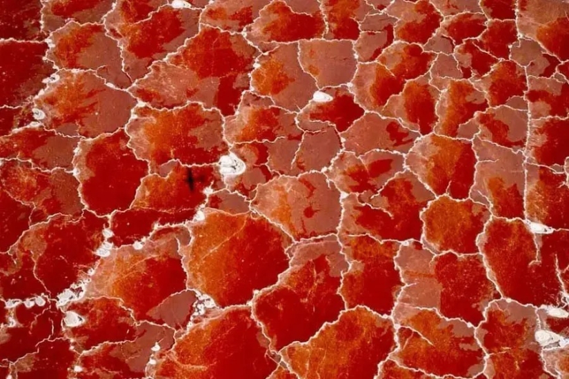 30 fotos increíblemente hermosas que demuestran que la vida es hermosa y sorprendente 30 fotos increíblemente hermosas que demuestran que la vida es hermosa y sorprendente