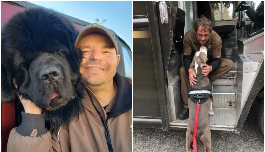 30 fotos lindas sobre el amor de los perros para los mensajeros 30 fotos lindas sobre el amor de los perros para los mensajeros