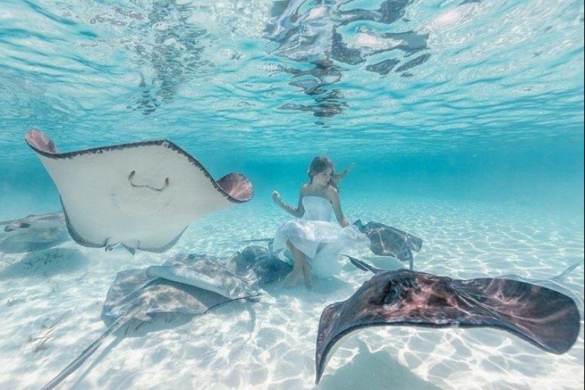 30 fotos sentidas que compensarán la falta de bondad 30 fotos sentidas que compensarán la falta de bondad