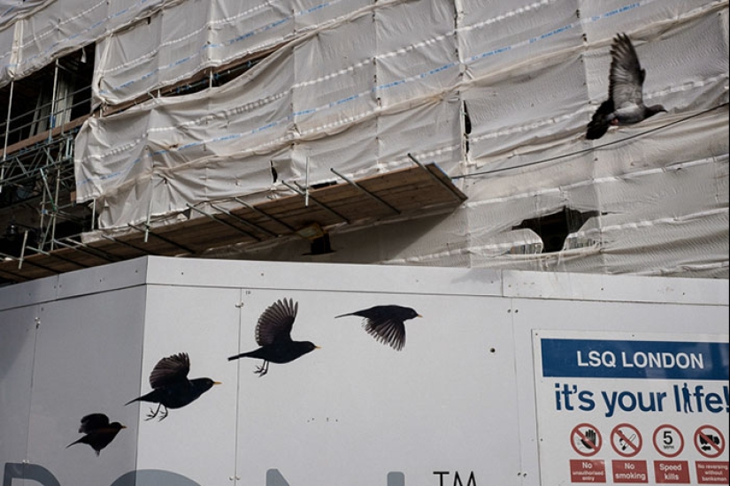 30 frames of street photography with perfect timing