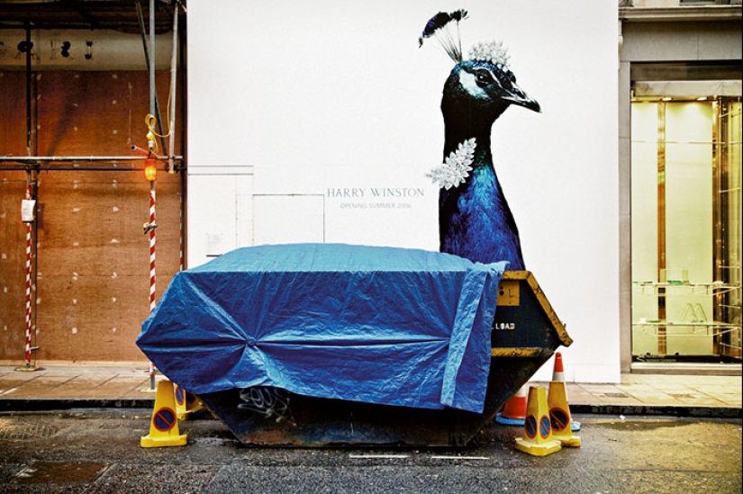 30 frames of street photography with perfect timing