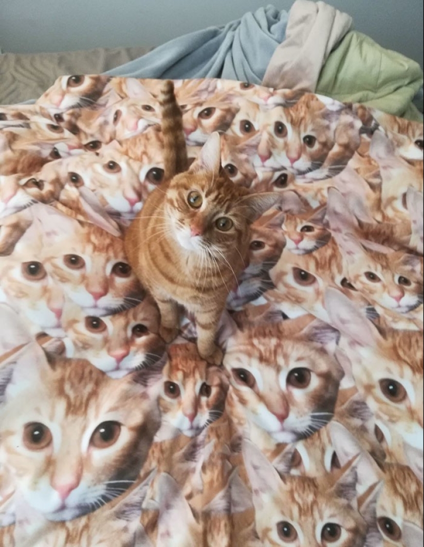 30 funny and unusual gifts shared by Reddit users