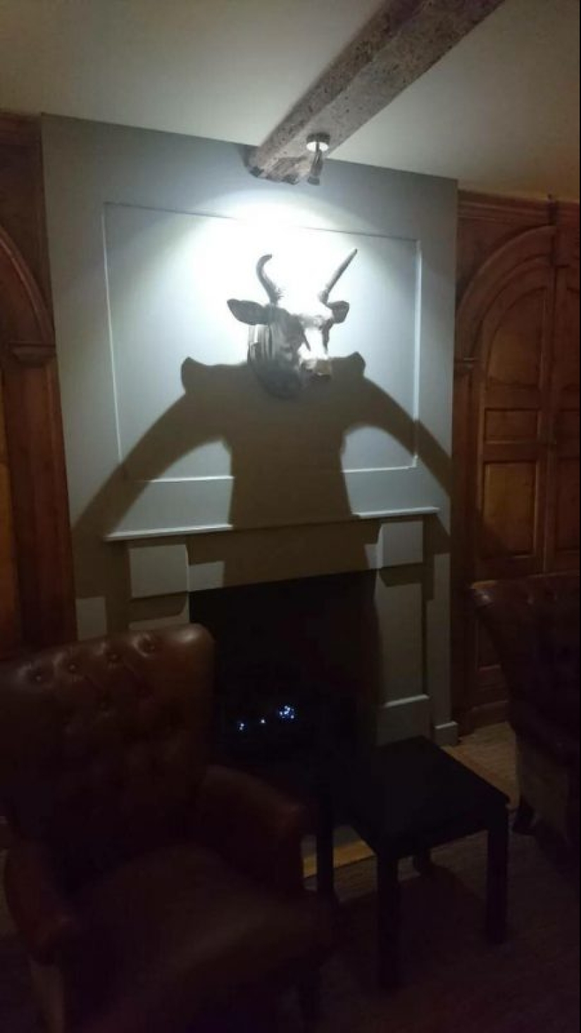 30 funny photos of shadows that look like something else