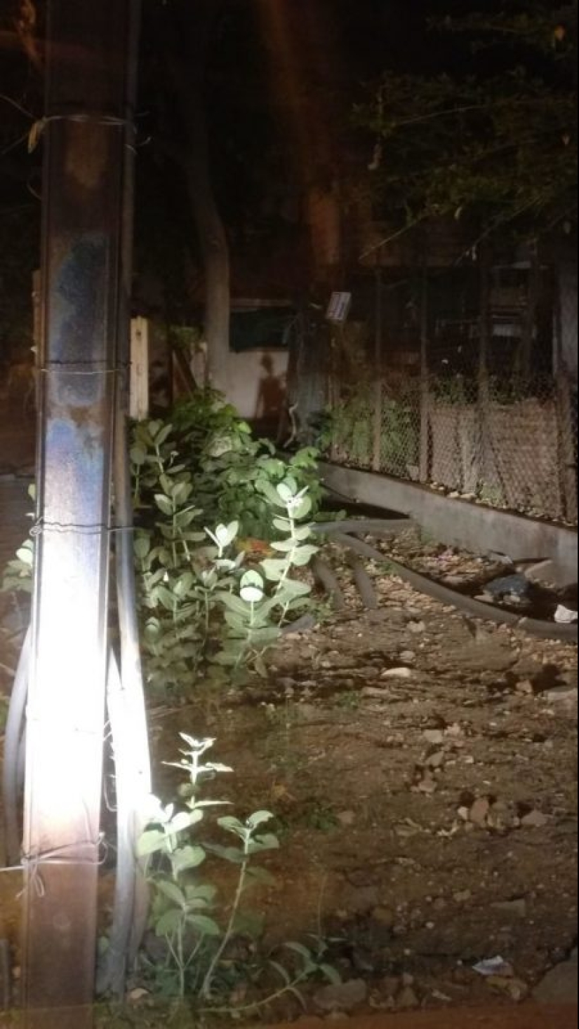 30 funny photos of shadows that look like something else