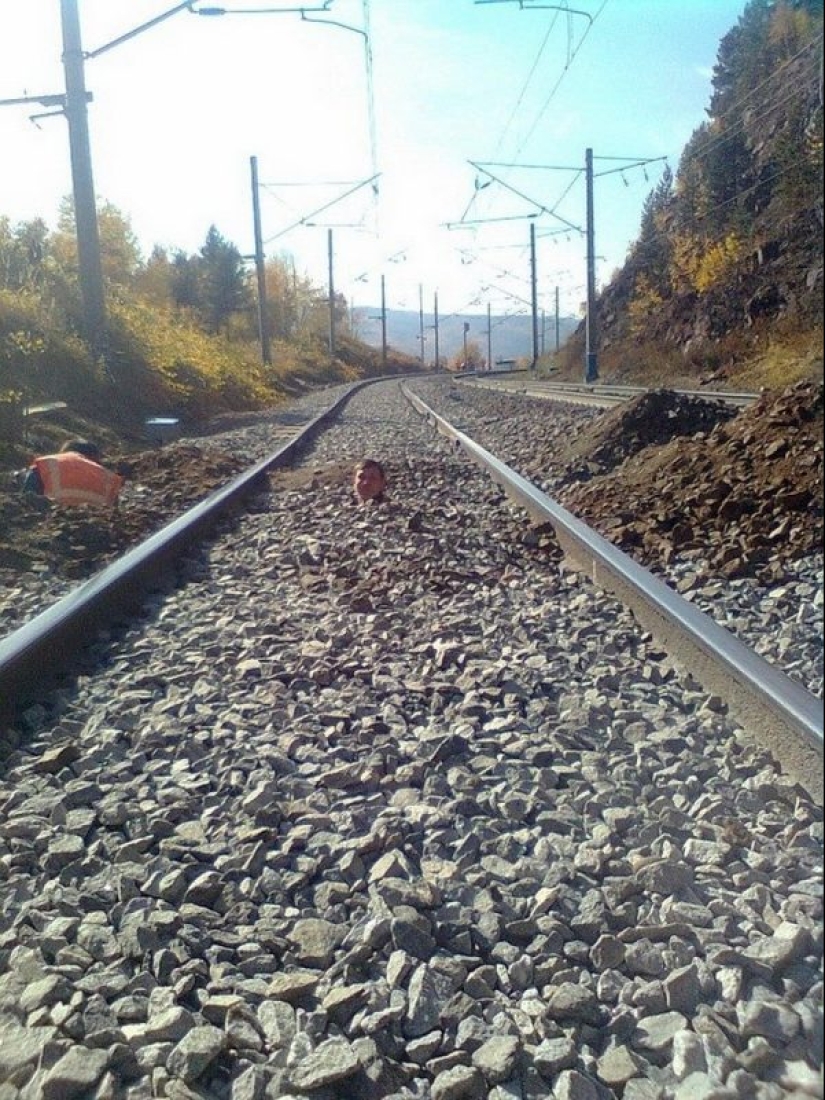 30 funny photos taken somewhere in Russia 30 funny photos taken somewhere in Russia