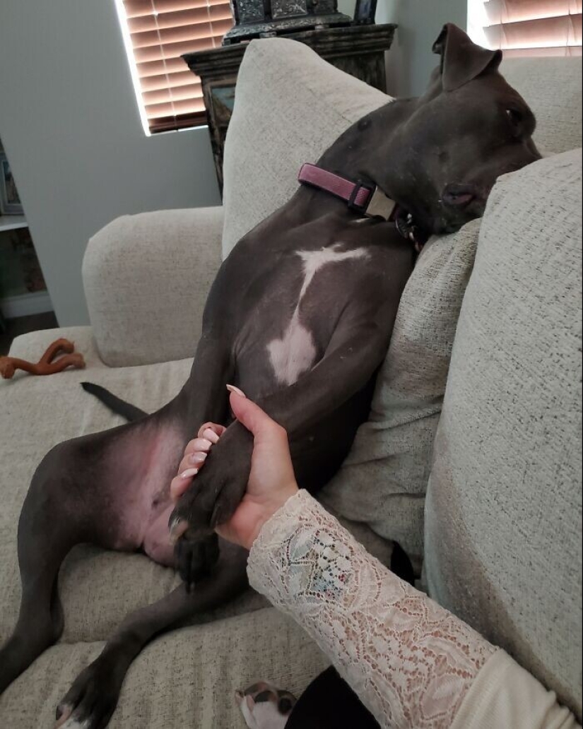 30 funny photos with animals that are guaranteed to cheer you up