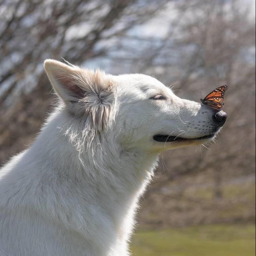 30 heartfelt photos that will make up for the lack of goodness 30 heartfelt photos that will make up for the lack of goodness