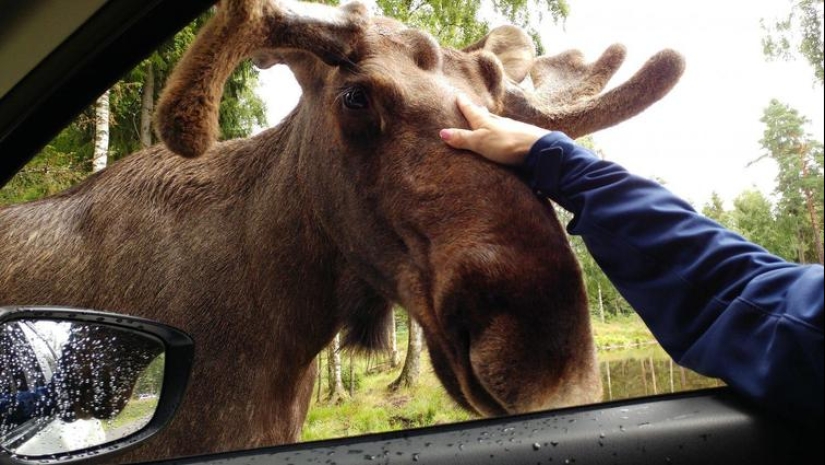 30 heartfelt photos that will make up for the lack of goodness 30 heartfelt photos that will make up for the lack of goodness